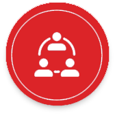 Expert Accountant Team